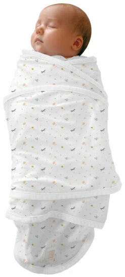 Couverture Miracle Happy Fox - RED CASTLE