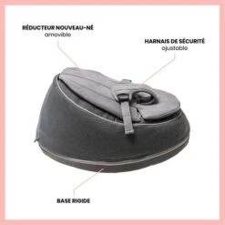 Doomoo Seat'n Swing Transat Et Balancelle 2 En 1 - Anthracite - BABYMOOV -Produits Pour Bébé 36612761710532028429