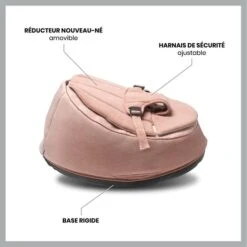 Doomoo Seat'n Swing Transat Et Balancelle 2 En 1 - Pink - BABYMOOV -Produits Pour Bébé 36612761710772028429