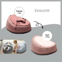 Doomoo Seat'n Swing Transat Et Balancelle 2 En 1 - Pink - BABYMOOV -Produits Pour Bébé 36612761710772028529