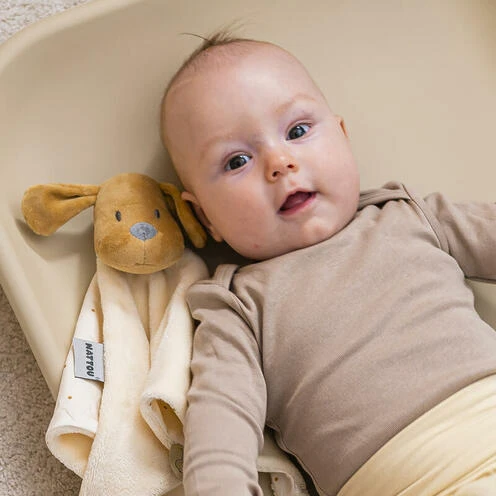 Doudou Chien Vanille CHARLIE - NATTOU 2 Doudou Chien Vanille CHARLIE - NATTOU – Image 2