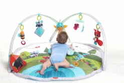 Tapis D'éveil GYMINI Dynamic - Dans La Prairie - TINY LOVE 29 Tapis D'éveil GYMINI Dynamic - Dans La Prairie - TINY LOVE -Produits Pour Bébé DOR 3333120501 11