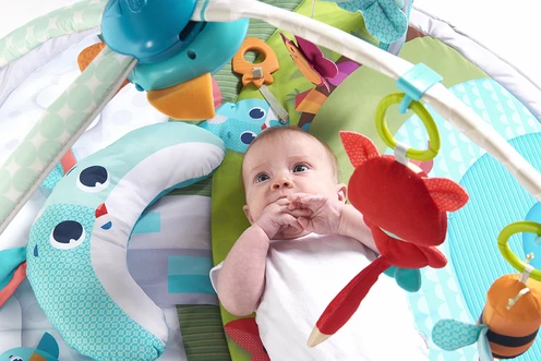 Tapis D'éveil GYMINI Dynamic - Dans La Prairie - TINY LOVE 18 Tapis D'éveil GYMINI Dynamic - Dans La Prairie - TINY LOVE – Image 18