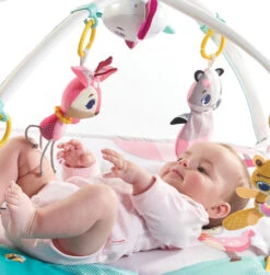 Tapis D'éveil GYMINI - Princesse - TINY LOVE -Produits Pour Bébé DOR 3333120551 5